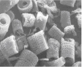 diatomaceous earth diatomateous earth-magnified.jpg